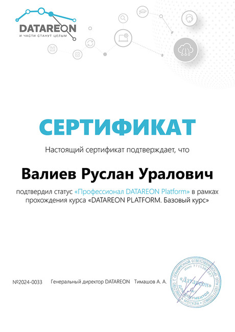 Профессионал DATAREON Platform